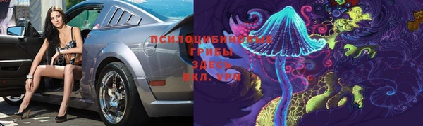 хмурый Верхний Тагил