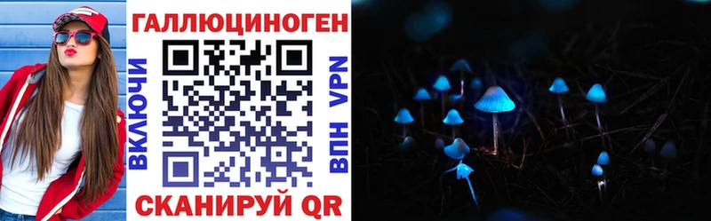 Купить закладки  Щигры  Галлюциногенные грибы Cubensis 